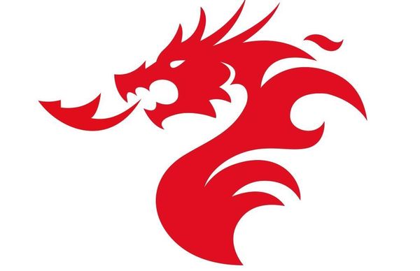 Межрегиональный турнир &quot;Пояс дракона&quot;