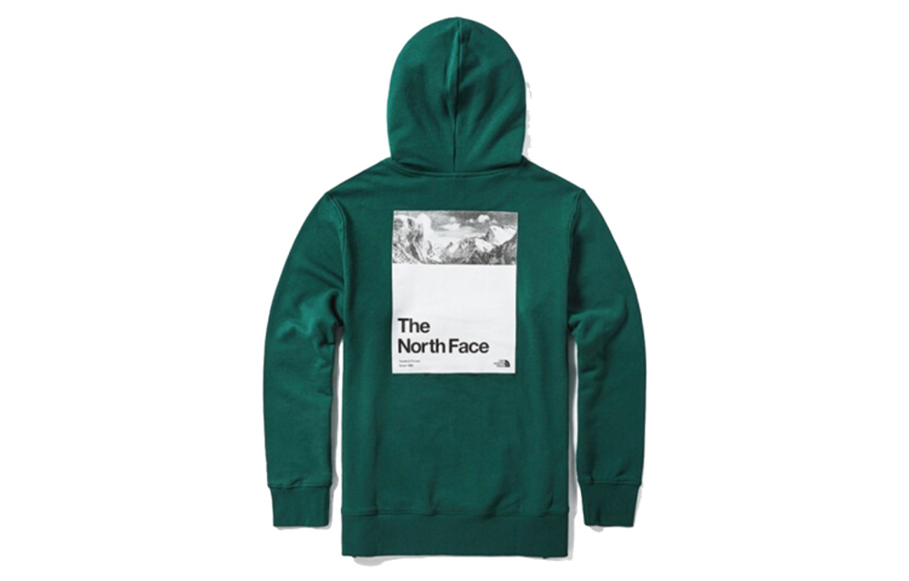 Худи THE NORTH FACE, 4NE4-N3P