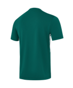 Футболка тренировочная Jogel DIVISION PerFormDRY Training Poly T-shirt, темно-зеленый N4