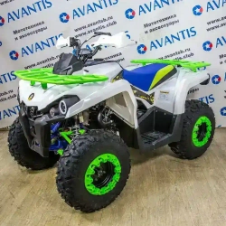 Квадроцикл Avantis FORESTER 200