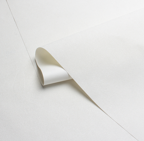 Обои 585112 Magnolia Victoria Stenova