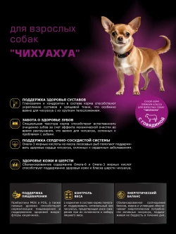 Корм сухой для собак породы Чихуахуа, с говядиной, 800 гр