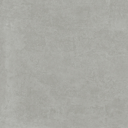 Techno Gris Керамогранит серый SG604520R 60х60 Матовый Карвинг