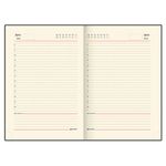 Ежедневник недатированный А5 138х213 мм BRAUBERG "FLAME", под кожу, 160 л., черный, серебряный срез, 113425