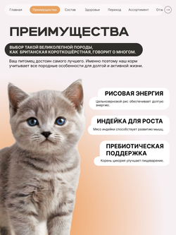 Корм сухой для котят породы Британская короткошёрстная, с индейкой, 400 гр, QUATTRO
