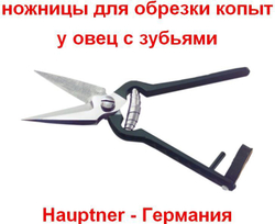 Ножницы для обрезки копыт у овец с зубьями