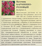 Ваточник Карминно-розовый 0,03 г СМЦ-253