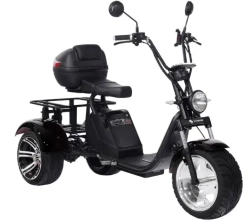 Электроскутер SKYBOARD CITYCOCO TRIKE BR80