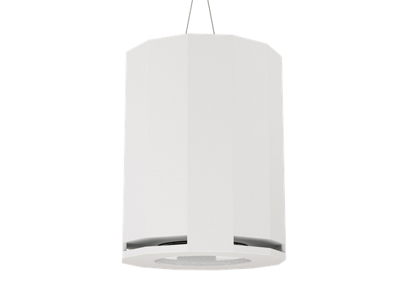 CVGAUDIO SUBone model DH-8W/CR/T подвесной сабвуфер, мощность 100W/100V