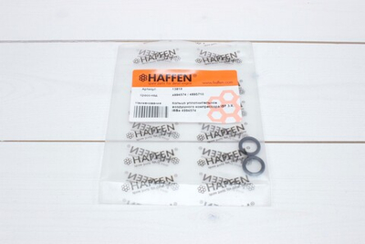 Кольцо уплотнительное компрессора Cummins ISBe 13819 /4895710/