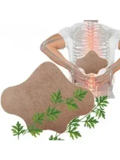 Пластырь поясничный с полынью 1 упаковка - 12 шт