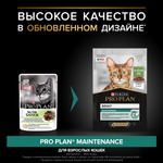 Влажный корм PRO PLAN MAINTENANCE для взрослых кошек ягненок в желе 85г x 26 шт
