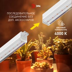 Светильник для растений фитолампа светодиодная линейная ЭРА GREEN LINE ФИТО-35W-PFR-GR полного спектра 35 Вт