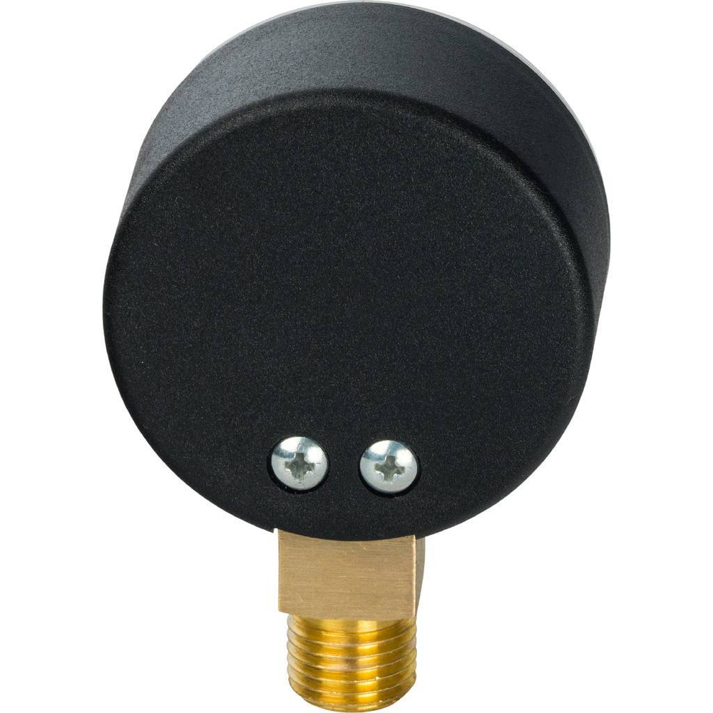 Манометр радиальный WATTS 10 бар 1/4" D50 (F+R200)