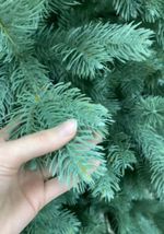 Ель голубая искусственная «Бордо» (Литая хвоя) 240 см / 2.4 м