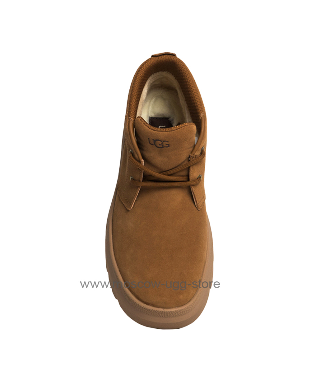 MENS BURLEIGH CHUKKA- Chestnut