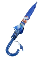 Зонт