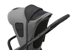 Прогулочная коляска Inglesina Aptica XT 2025 Canyon Grey