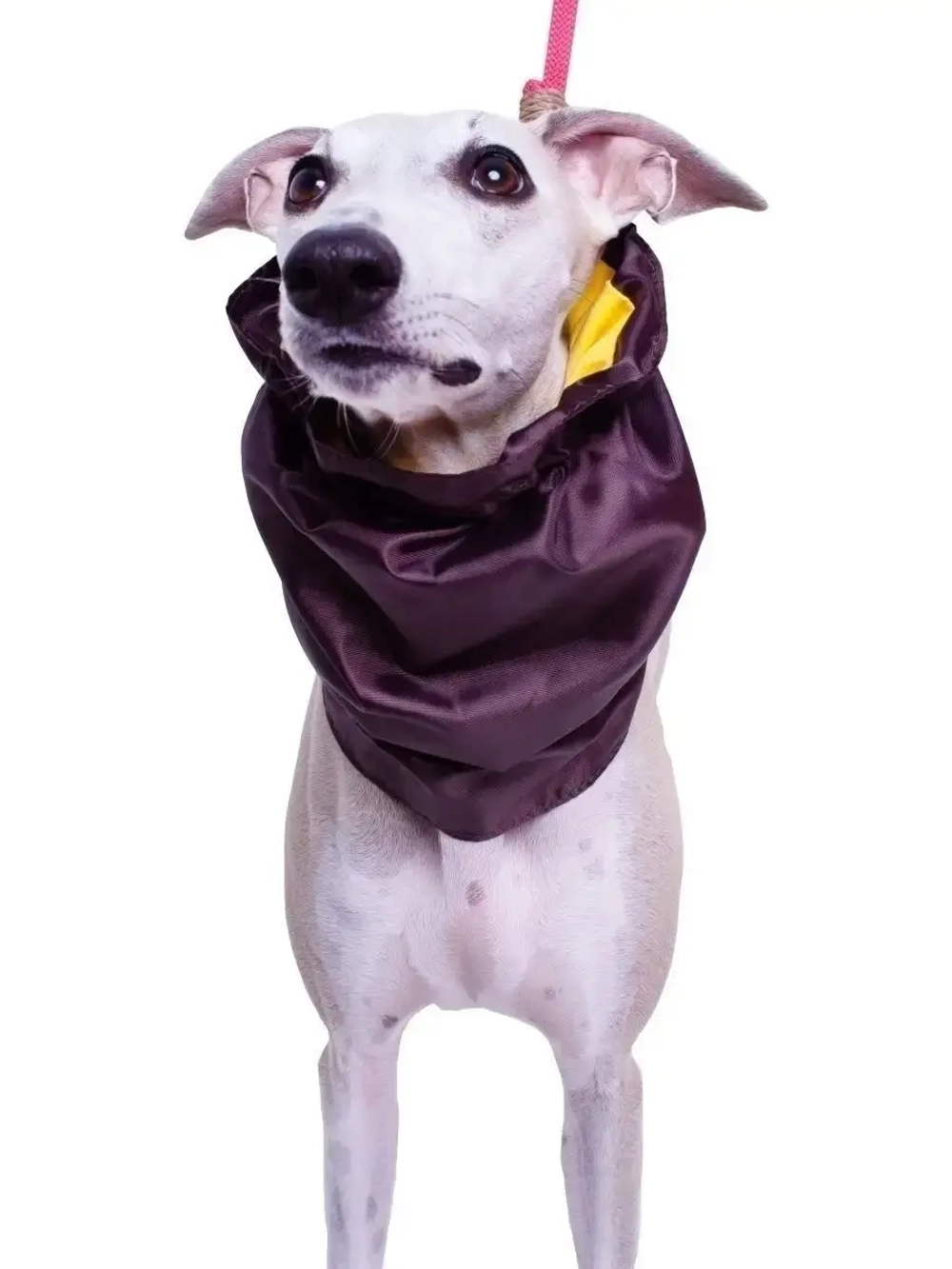 Снуды для собак непромокаемый шапка шарф для животных