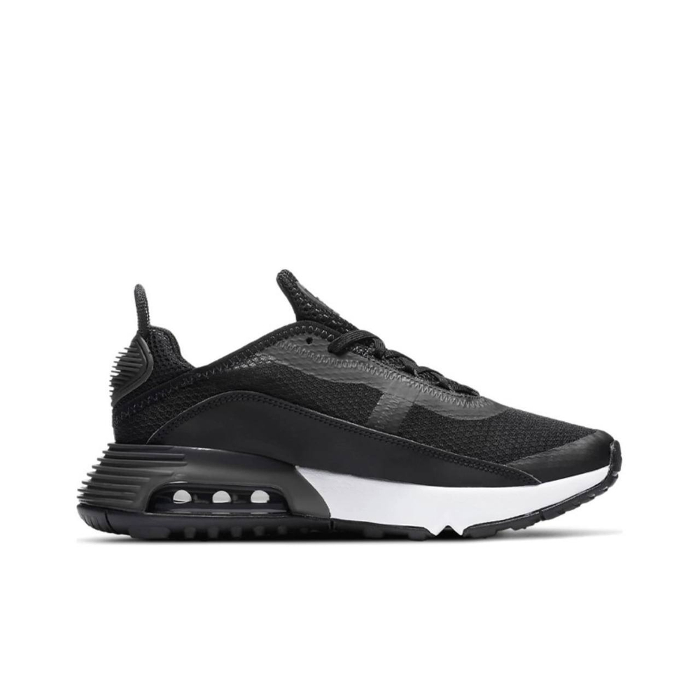 Nike Air Max 2090 Black
