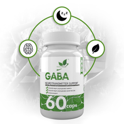 ГАБА (GABA) 60 капс. (NaturalSupp)