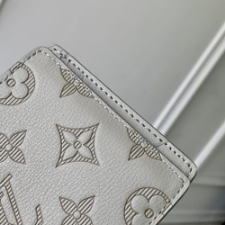 Louis Vuitton Multiple Wallet