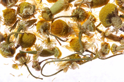 Althaus Chamomile Meadow травяной листовой чай, 75 г
