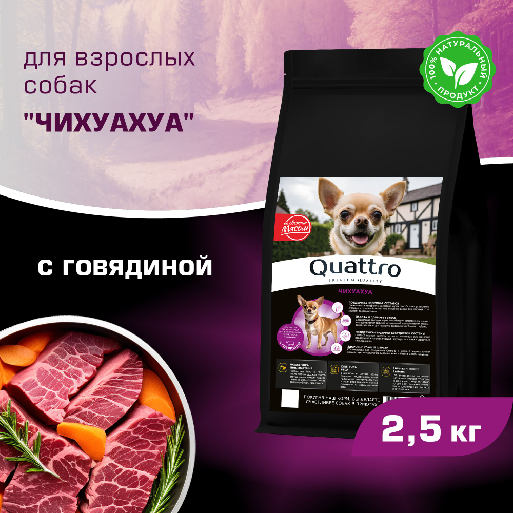 Корм сухой для взрослых собак породы Чихуахуа, с говядиной, 2,5 кг, QUATTRO
