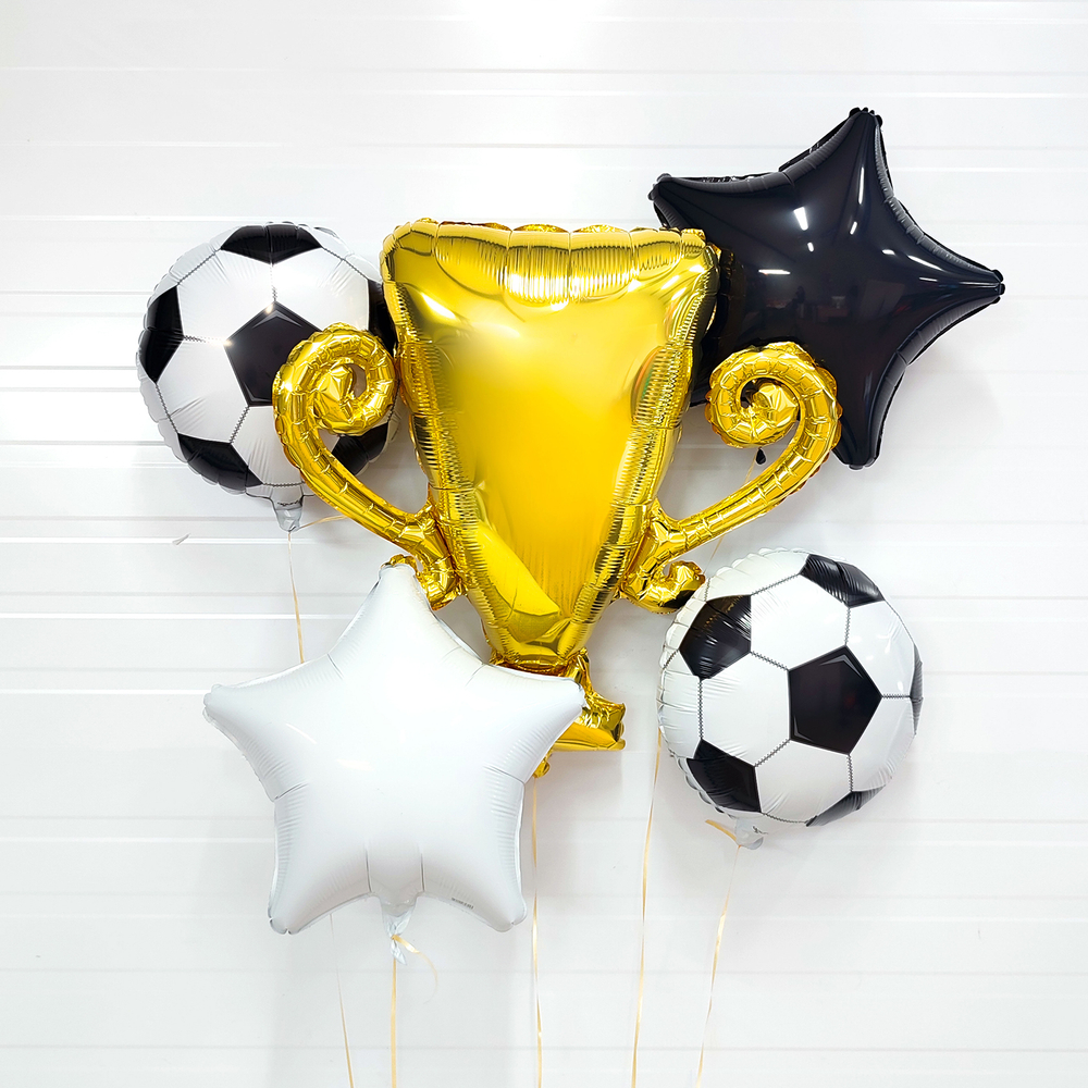 Звезда 19" Черный Agura