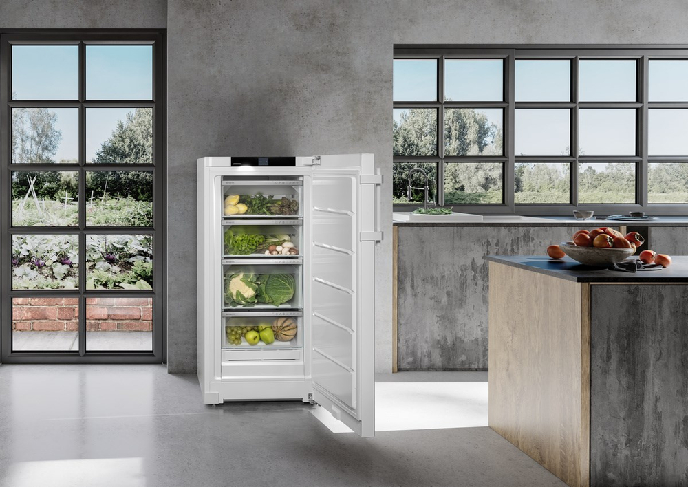 Холодильник Liebherr RBa30 425i