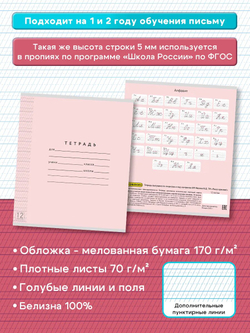 Набор тетрадей ТЕТРАДКИН, частая косая линия 5 мм, 12 л, цвет обложки - розовый, 20 шт