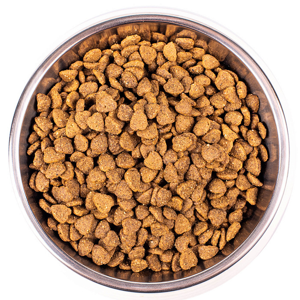 Сухой корм для домашних кошек из курицы Monge Cat Daily Line Indoor 1,5кг