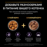 Влажный корм PRO PLAN HEALTHY START для котят говядина в соусе 85г x 26 шт