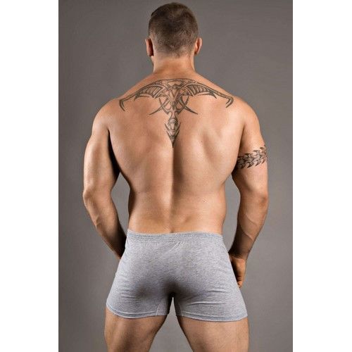 Мужские трусы боксеры хлопковые серые Doreanse 1511