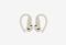 Beats Powerbeats Pro 2_0326709105941
