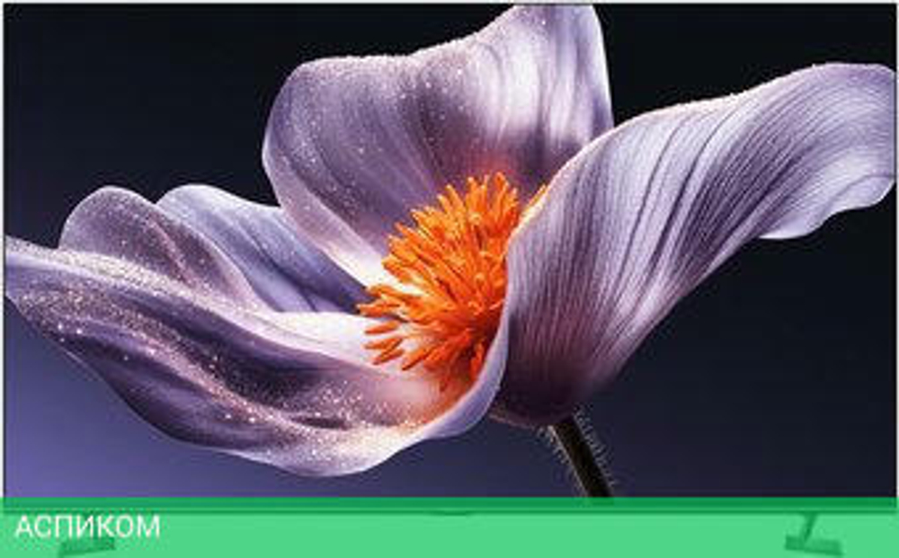 MiniLED телевизор Xiaomi TV S Pro Mini LED 75" 2026 L75MB-SRU (международная версия)