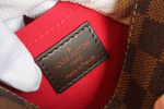 Louis Vuitton Favorite PM