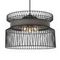 Подвесная люстра Favourite Korb 2363-2P