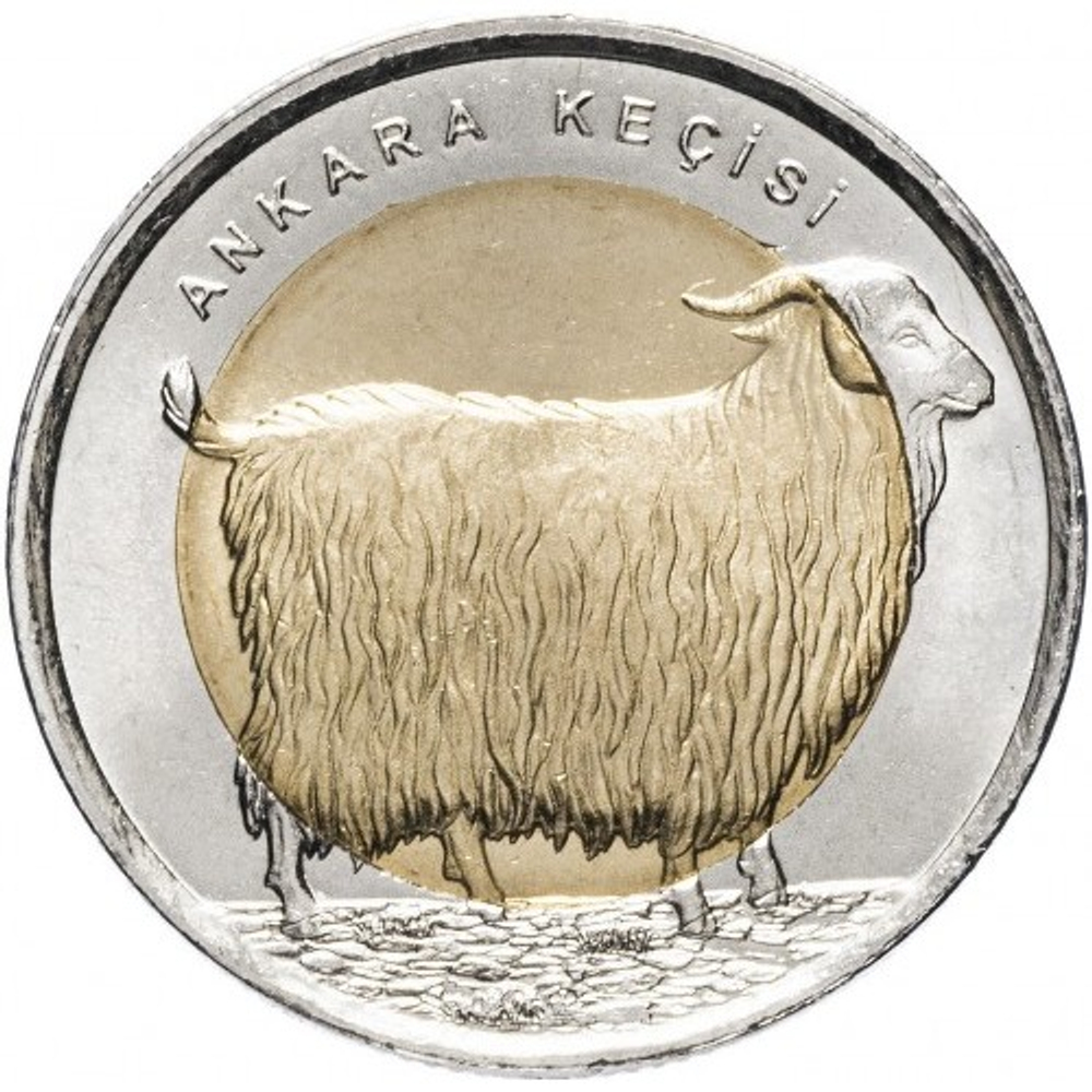 Ангорская коза