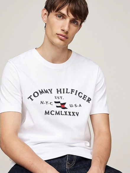 Футболка мужская TOMMY HILFIGER NAUTICAL ARCH TEE