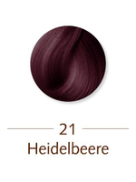 Краска для волос Sanotint № 21 «Черника», 131 мл