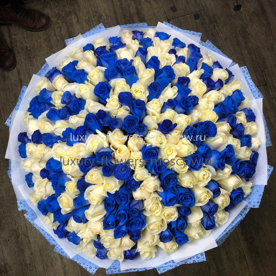 301 белая и синяя роза