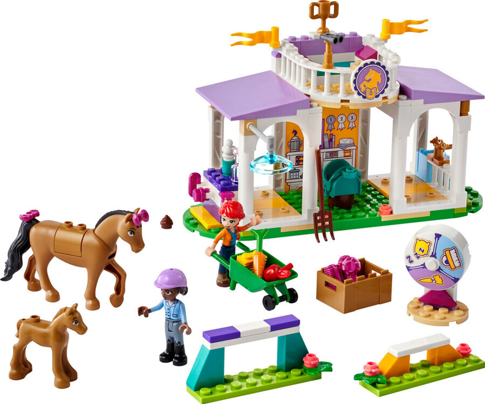 Конструктор LEGO Friends 41746 Тренировка лошадей