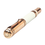 Перьевая ручка Aurora Dante Paradiso White GT, перо — M, в подарочной коробке