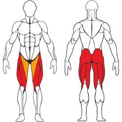 Жим ногами на свободных весах Белый