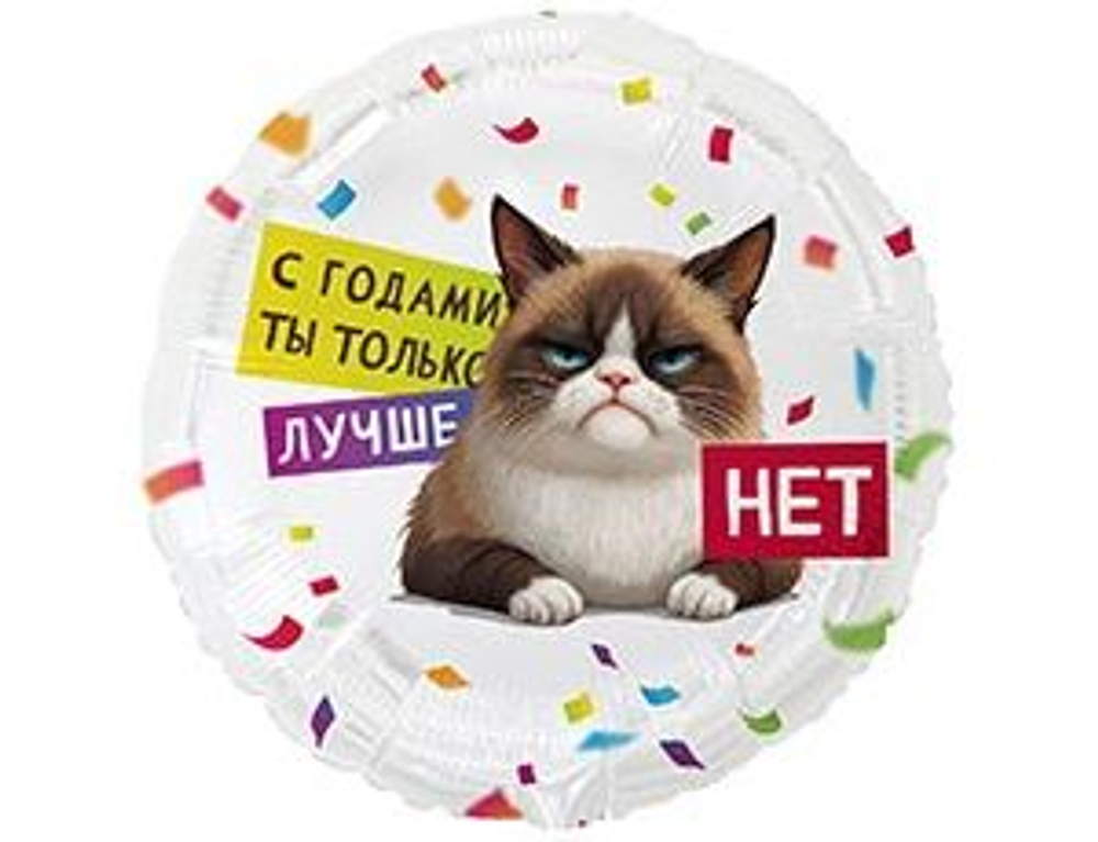 К 18" РУС С ГОДАМИ ТЫ ЛУЧШЕ Кот Сердитый
