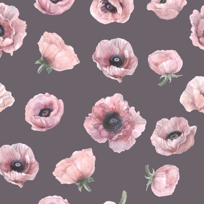 Акварельные розовые маки на темном фоне