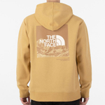 Худи THE NORTH FACE SS22 logo, NF0A5JZL-ZSF