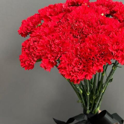 20 красных гвоздик с черной лентой