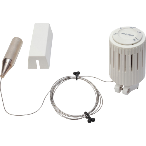 Головка термостатическая Giacomini с выносн. датч.2м с настр. против замораж., R462X002